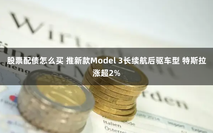 股票配债怎么买 推新款Model 3长续航后驱车型 特斯拉涨超2%